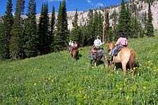 Trail Riding with Beard Mountain Ranch